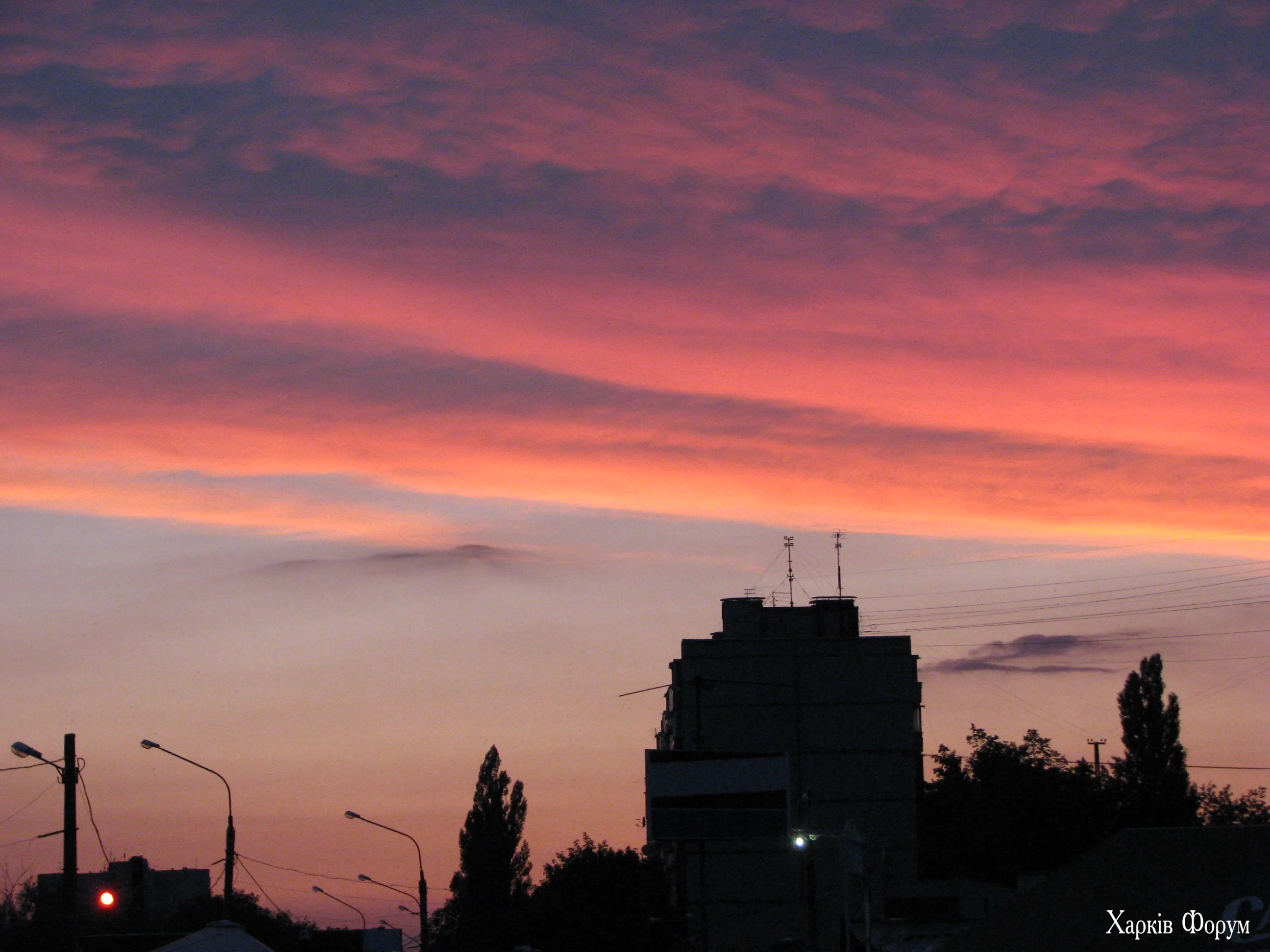 IMG_2795.webp