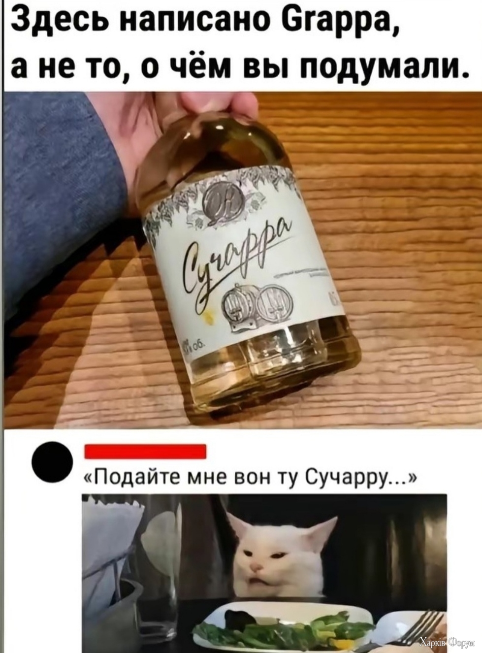 IMG_2919.jpeg