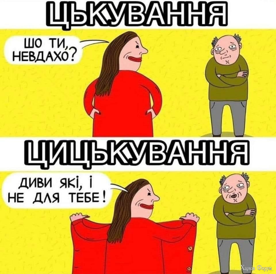 IMG_2921.jpeg