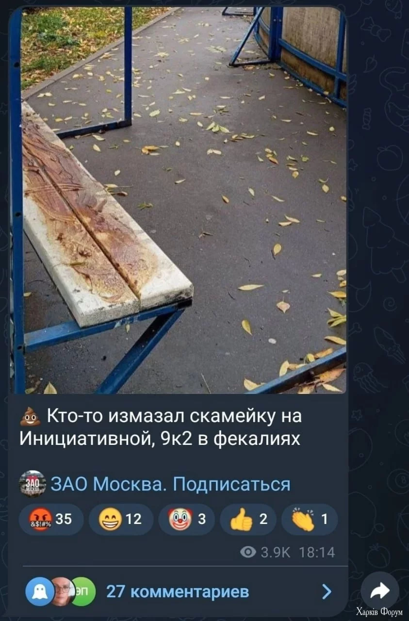 IMG_2948.jpeg