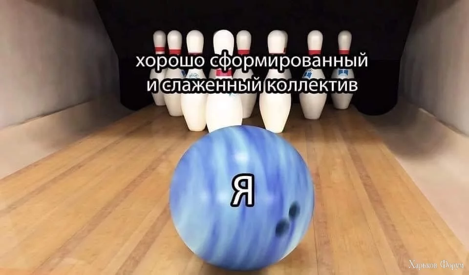 IMG_3232.webp