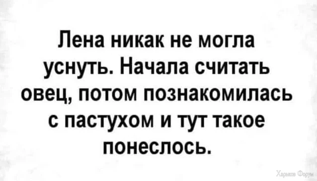 IMG_3286.webp