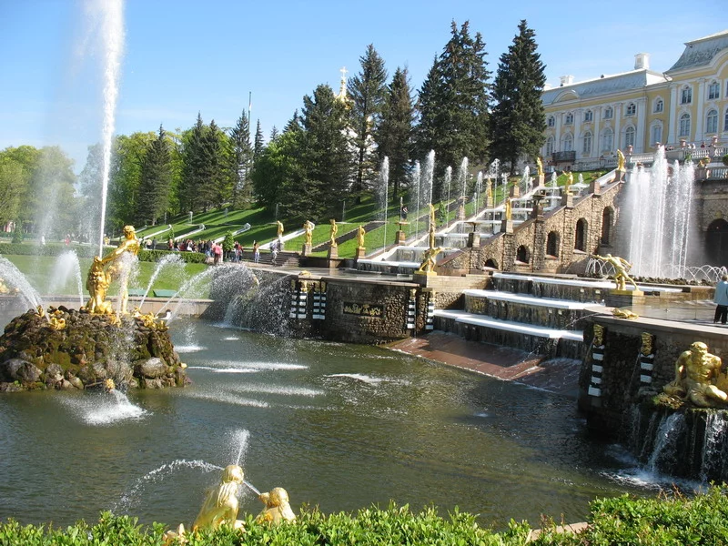 IMG_3518_resize.webp