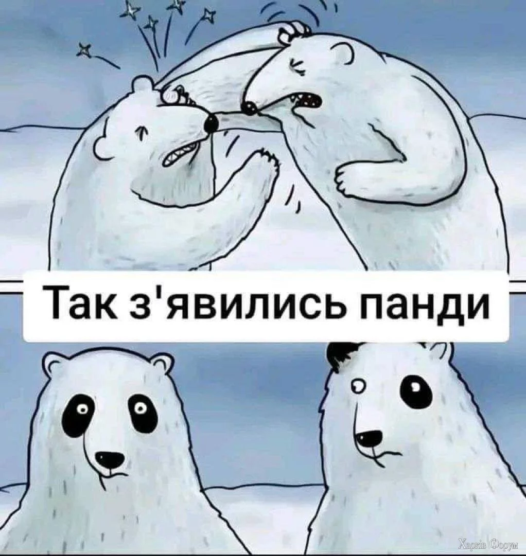 IMG_3612.jpeg