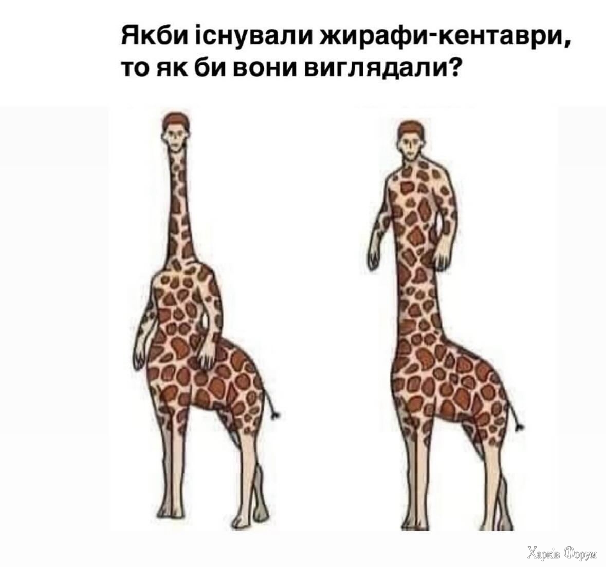 IMG_3980.jpeg