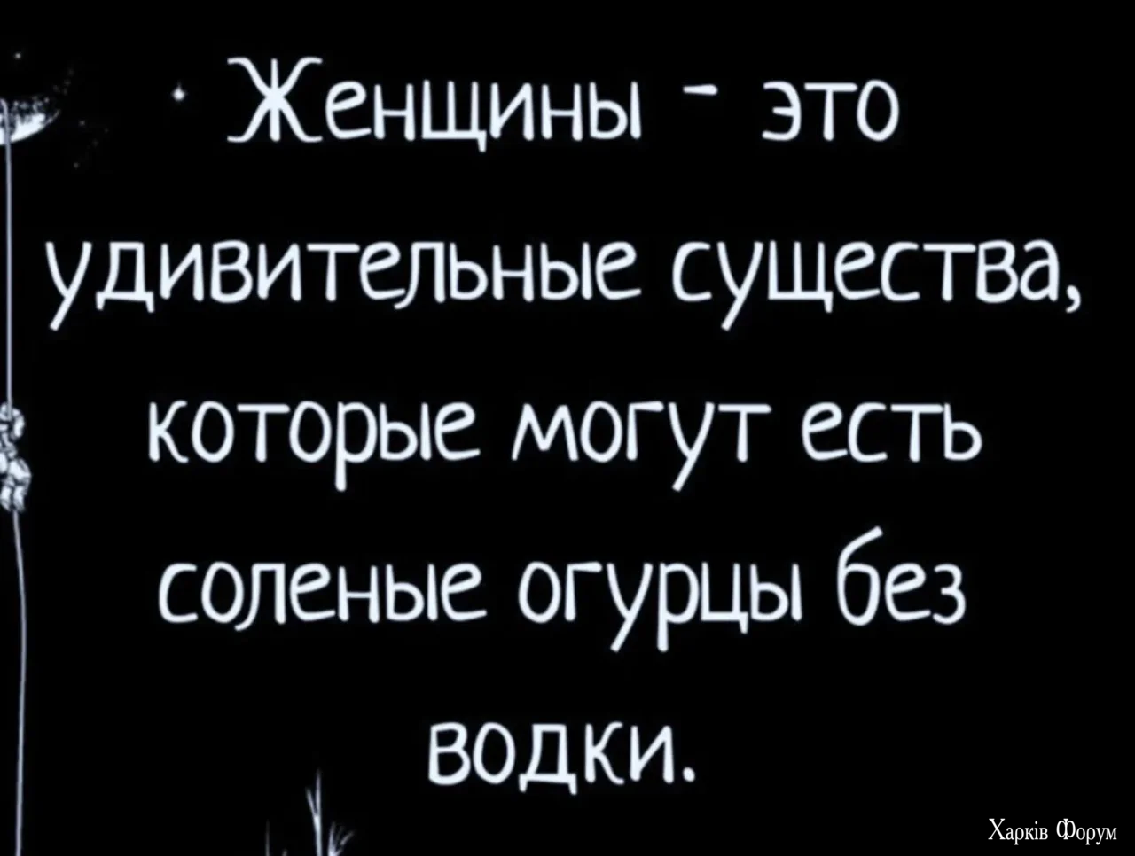 img_4163.webp