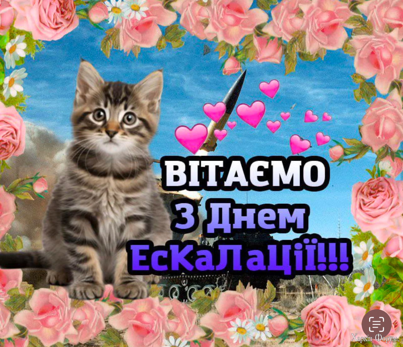 IMG_4182.jpeg