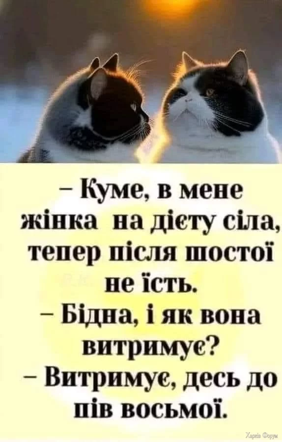 IMG_4200.webp