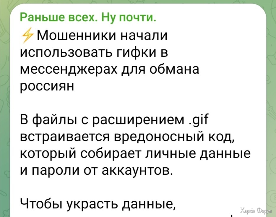 IMG_4482.jpeg
