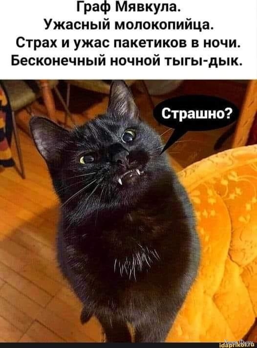 IMG_4565.jpeg