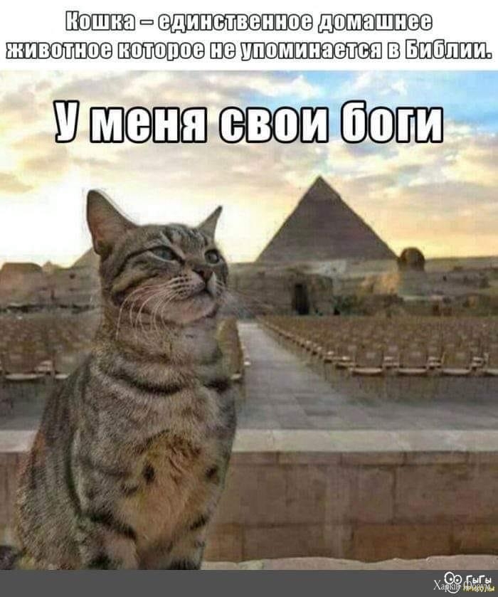 IMG_4567.jpeg