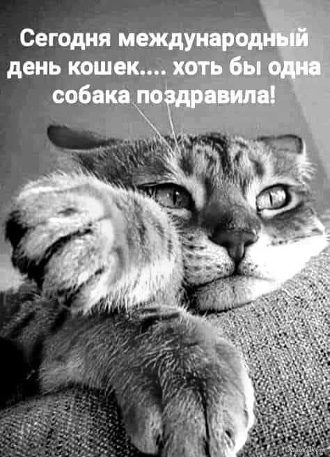 IMG_4660.webp