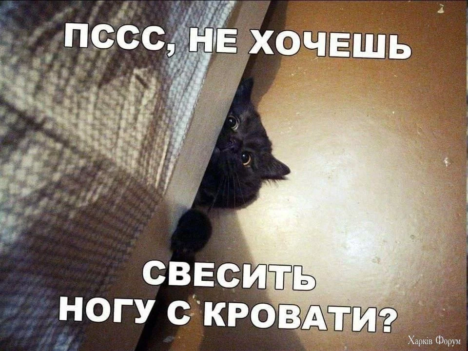 IMG_4665.webp