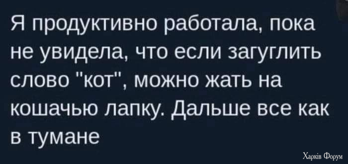IMG_4682.png