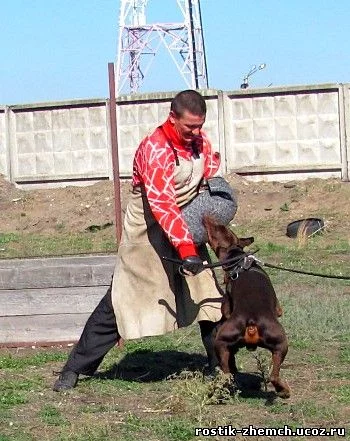 IMG_4861.1.webp