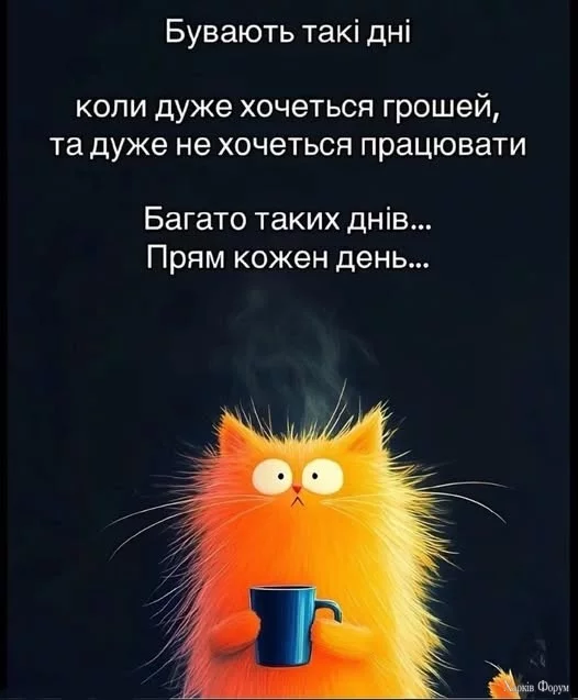 IMG_5454.webp