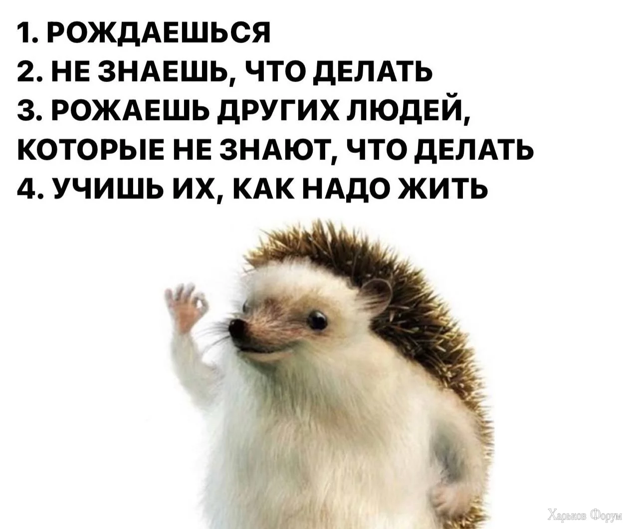 IMG_5582.jpeg