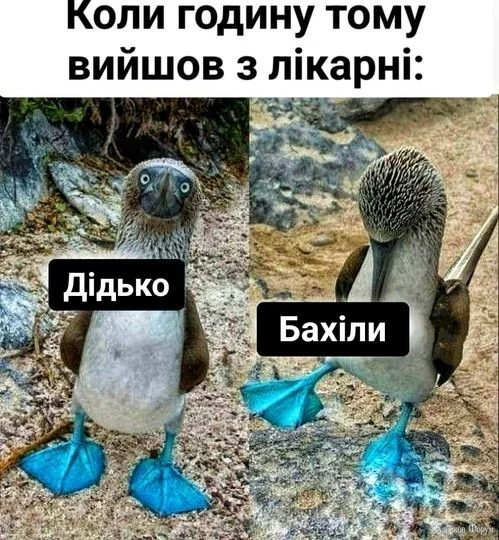 IMG_5584.jpeg