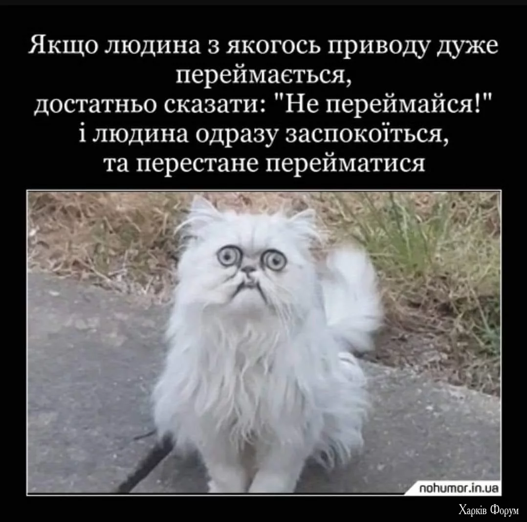 IMG_5830.webp