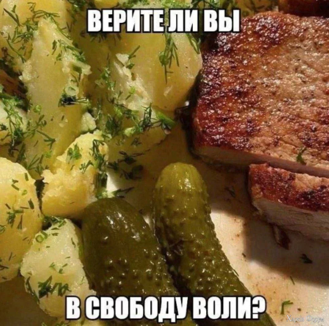 IMG_5971.png