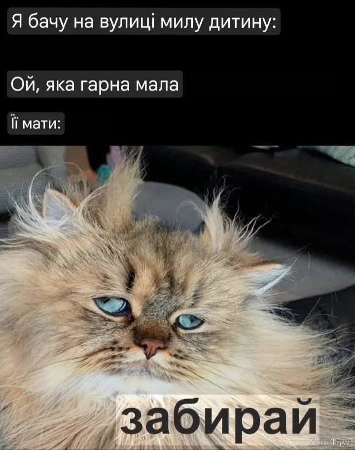 IMG_5974.png