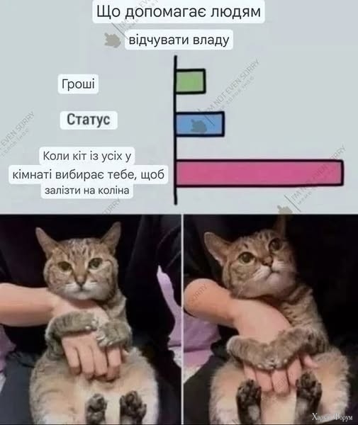 IMG_5981.jpeg