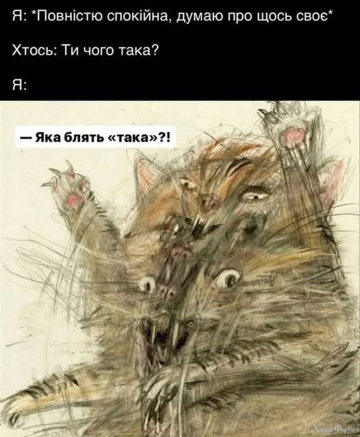 IMG_5984.jpeg