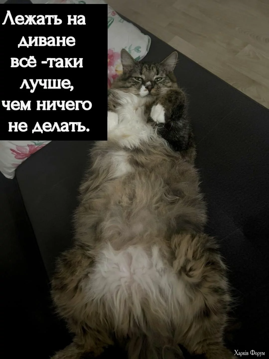 IMG_6281.webp