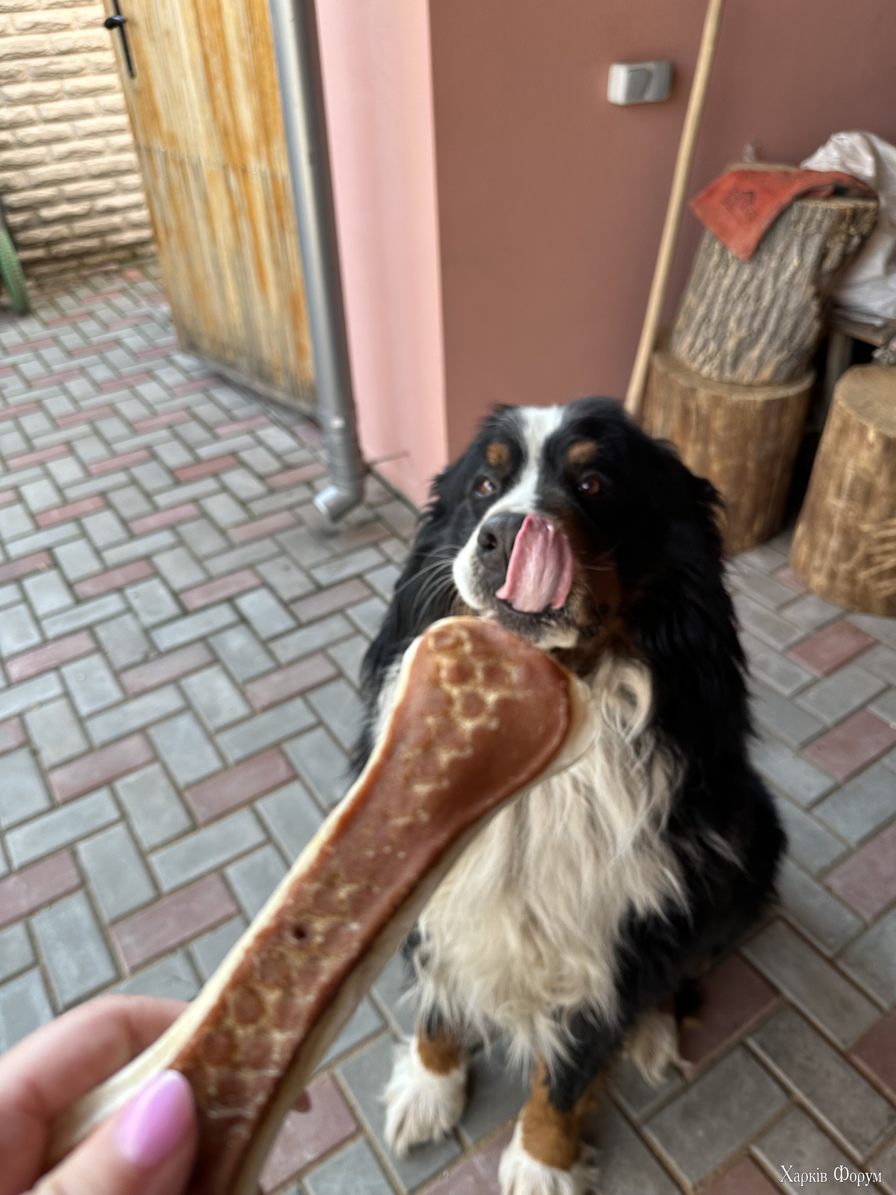 IMG_6349.jpeg
