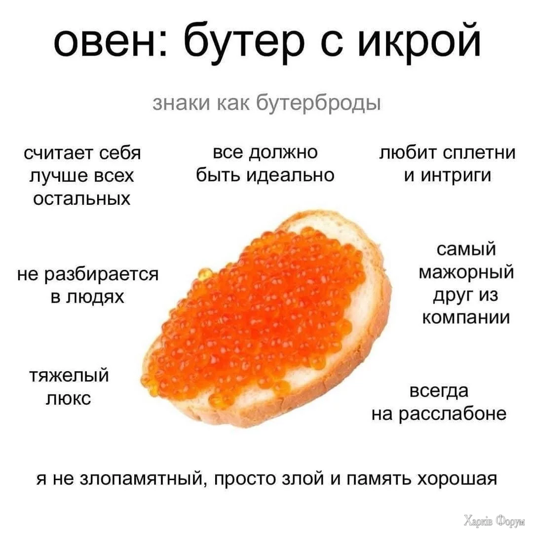 IMG_6649.webp