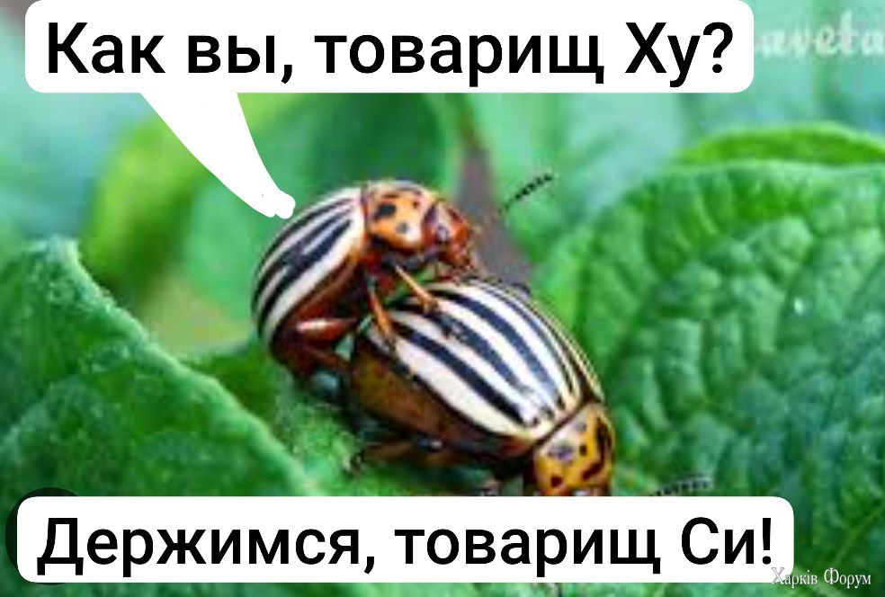 IMG_6873.jpeg