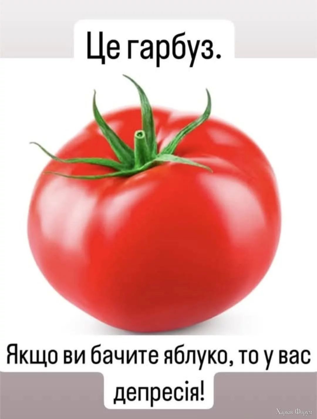 IMG_6929.webp