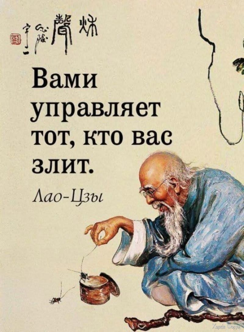 IMG_6977.jpeg