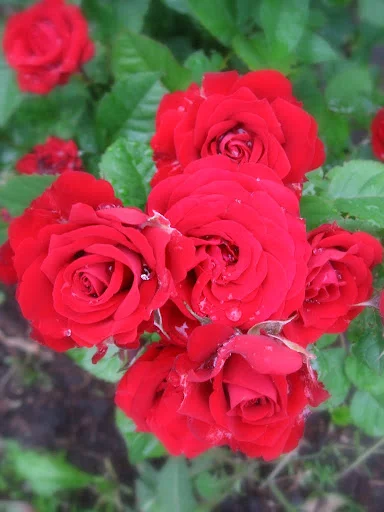 IMG_7022.webp