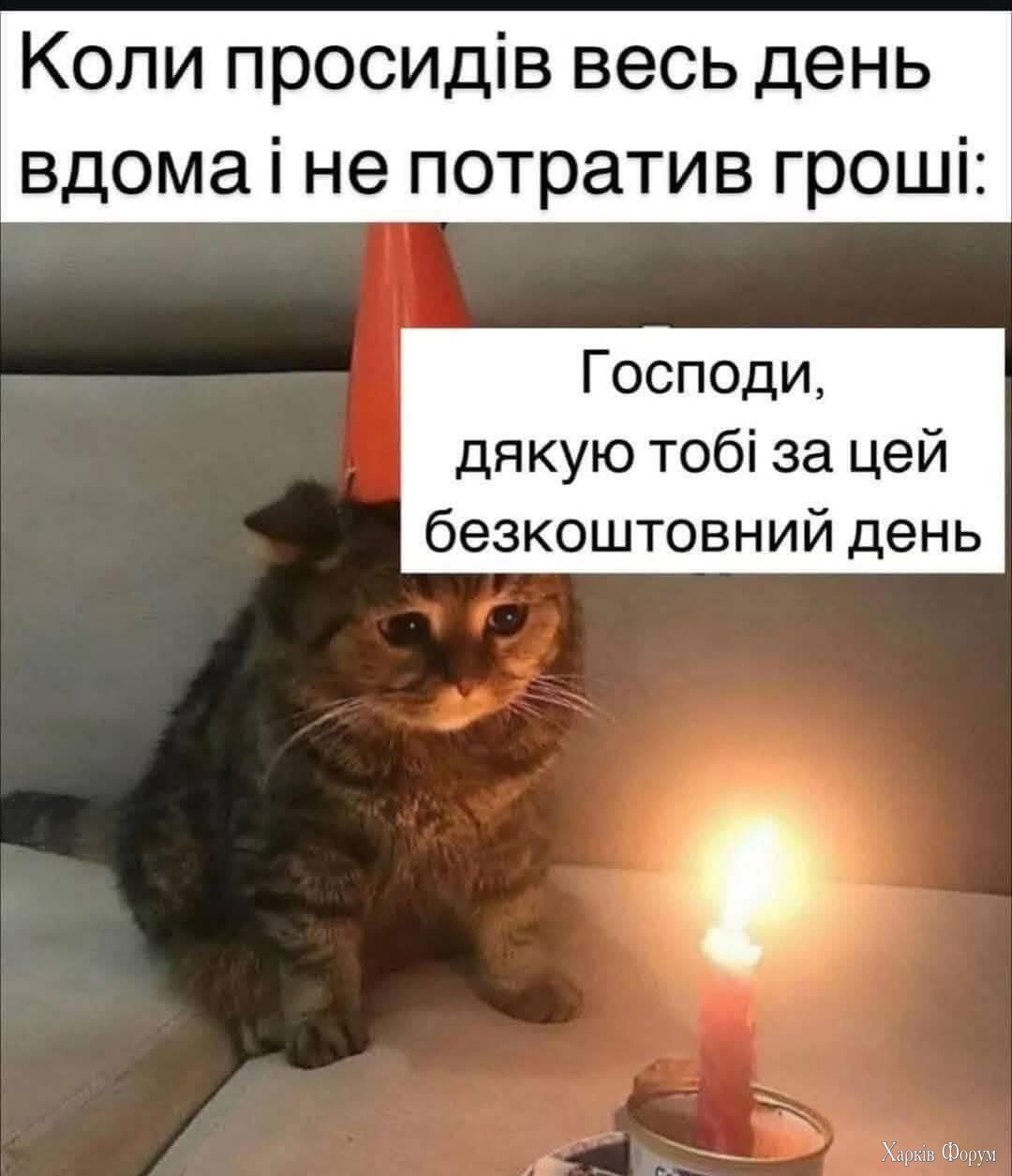 IMG_7388.jpeg