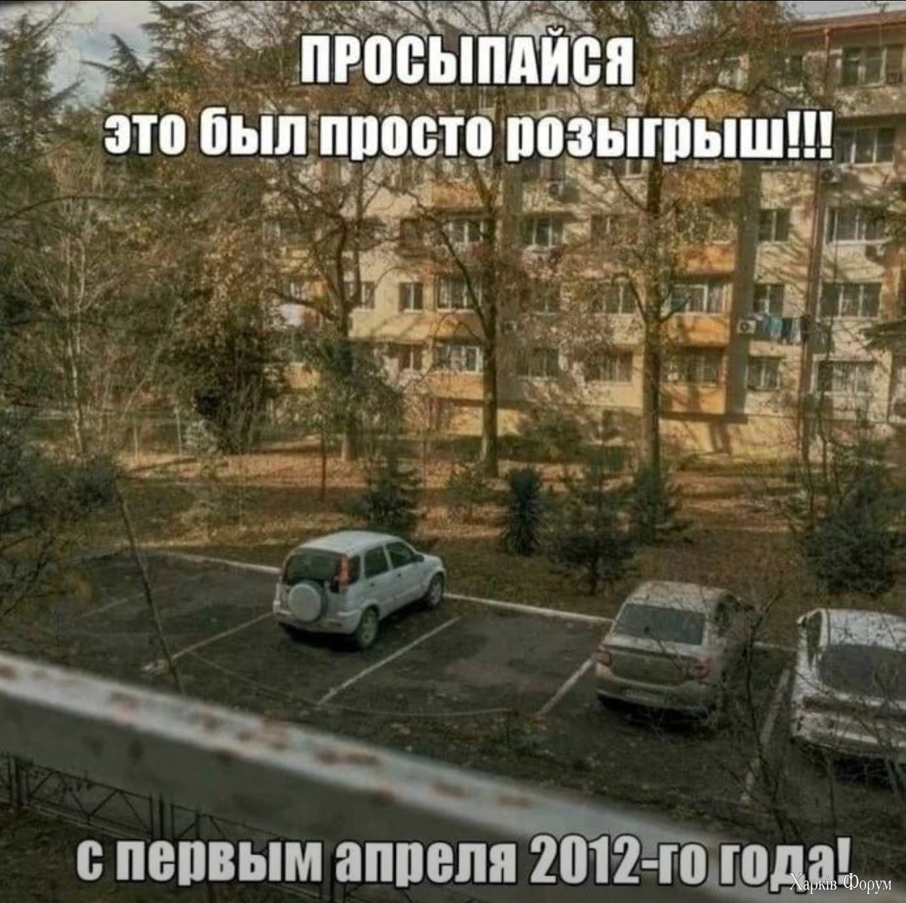 IMG_7821.jpeg