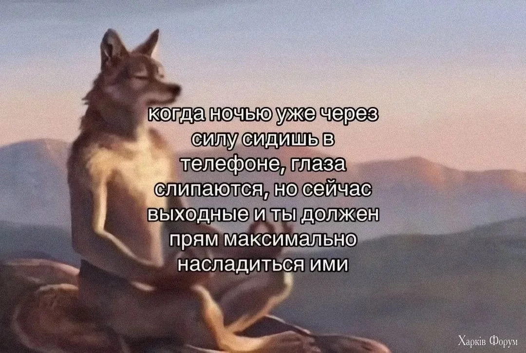 IMG_7850.webp