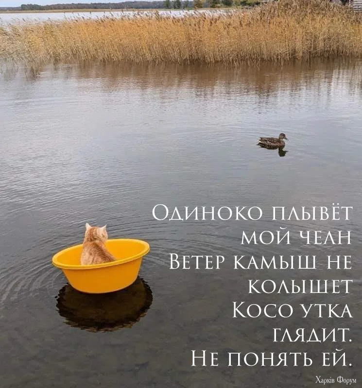 IMG_7928.webp