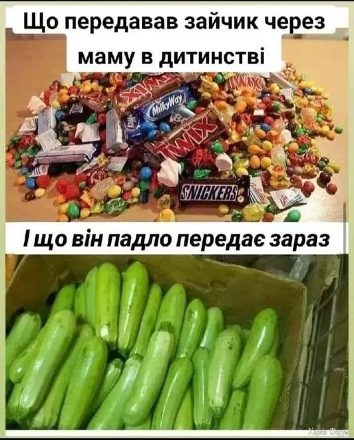 IMG_9092.jpeg
