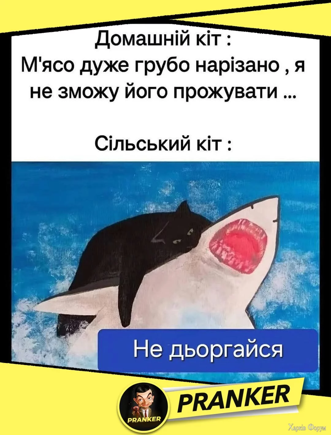 IMG_9236.jpeg