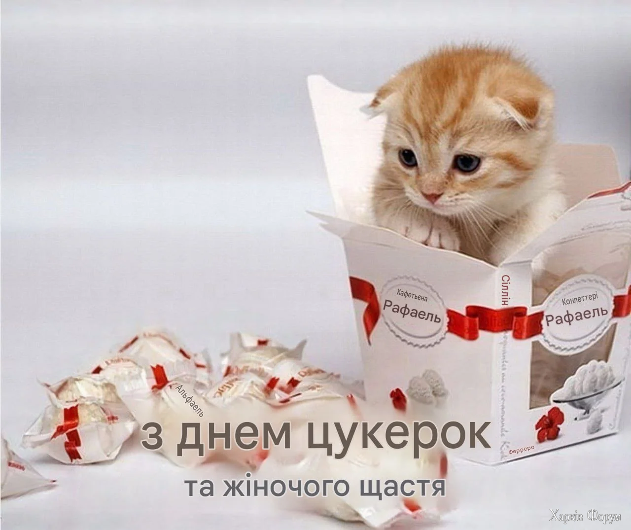 IMG_9315.webp