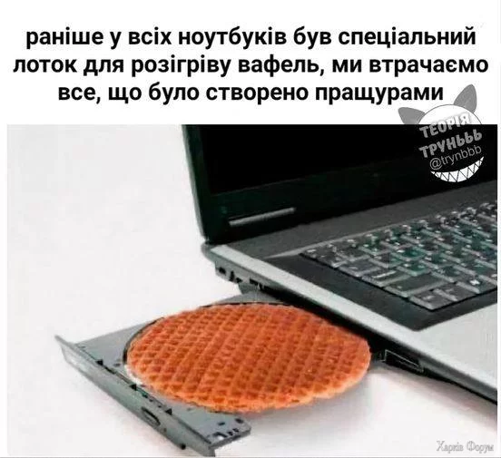 IMG_9379.webp