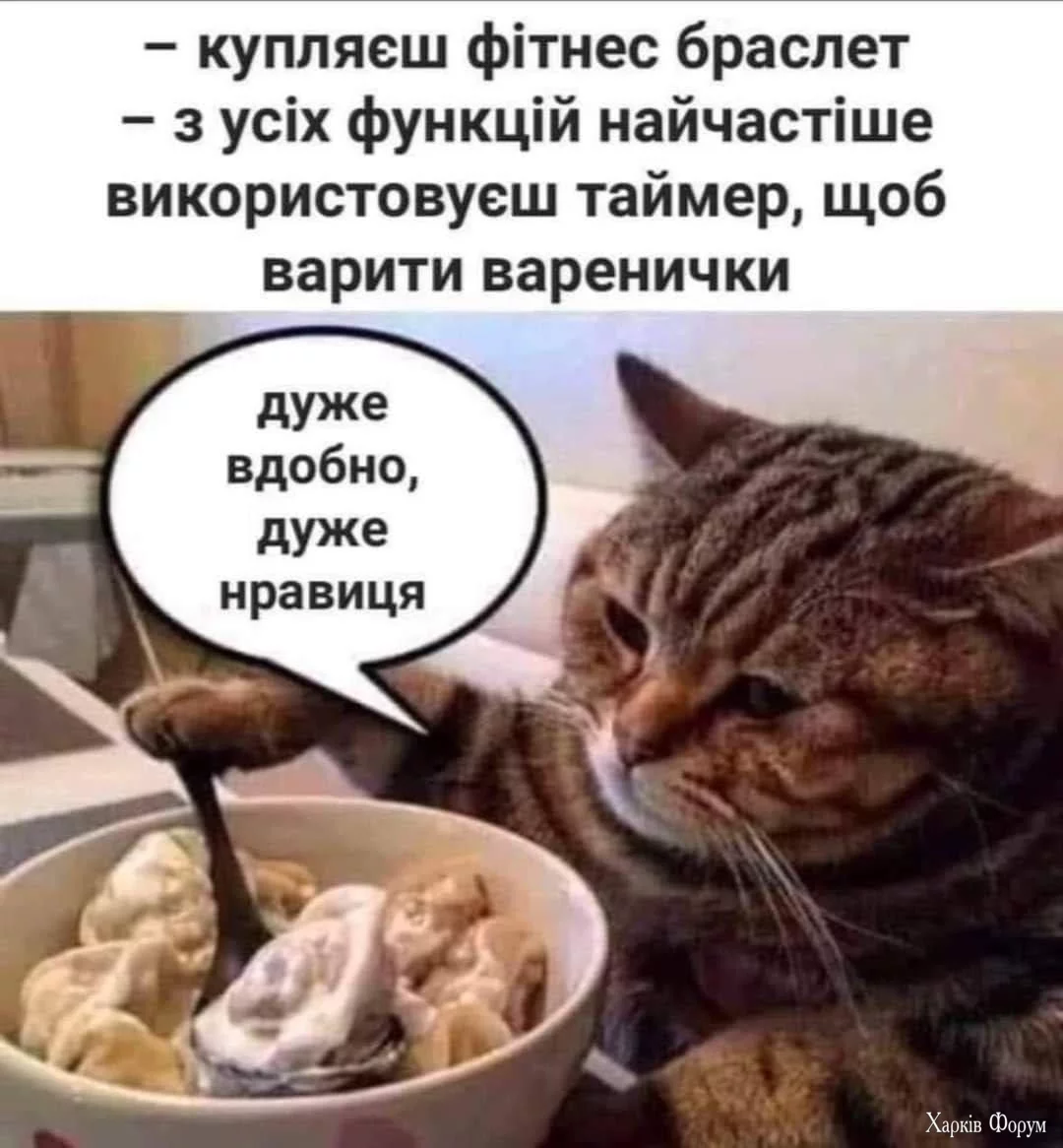 IMG_9674.jpeg