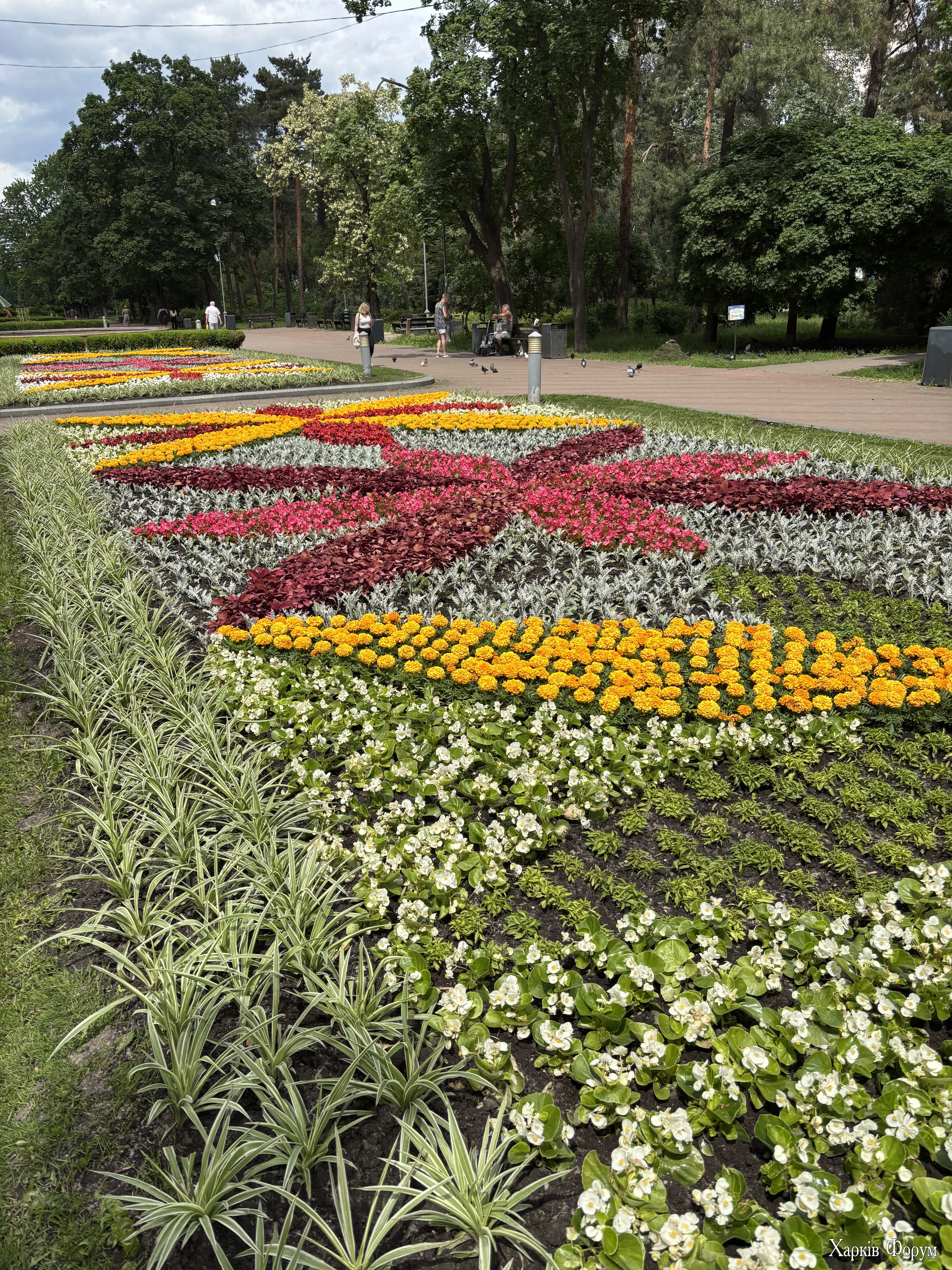 IMG_9964.webp