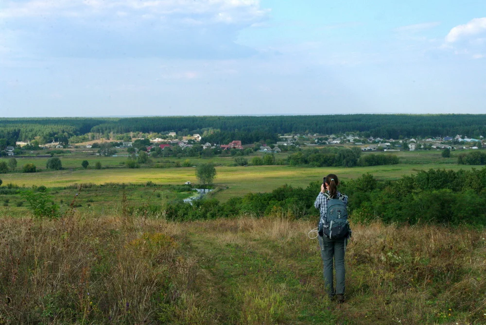 IMGP9167_1000.webp