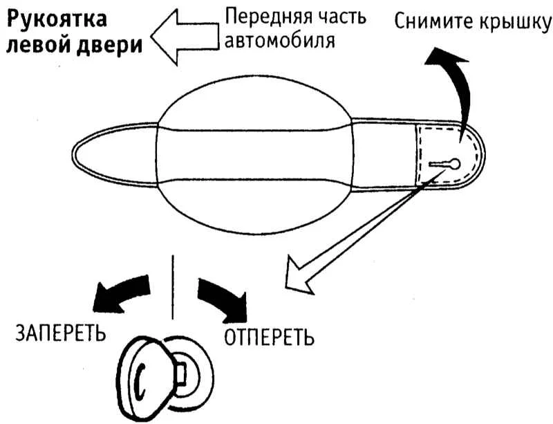 in-2-7.webp