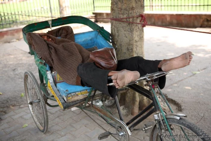 ind5D_0343s.webp