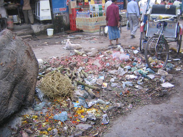 india-photos-08.jpg