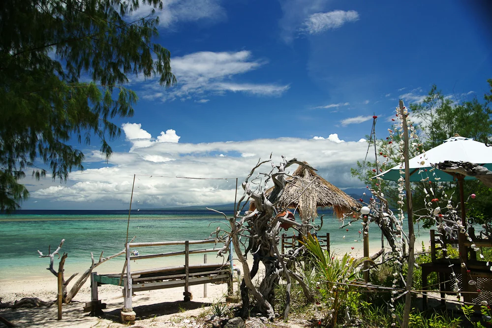 indo31.webp