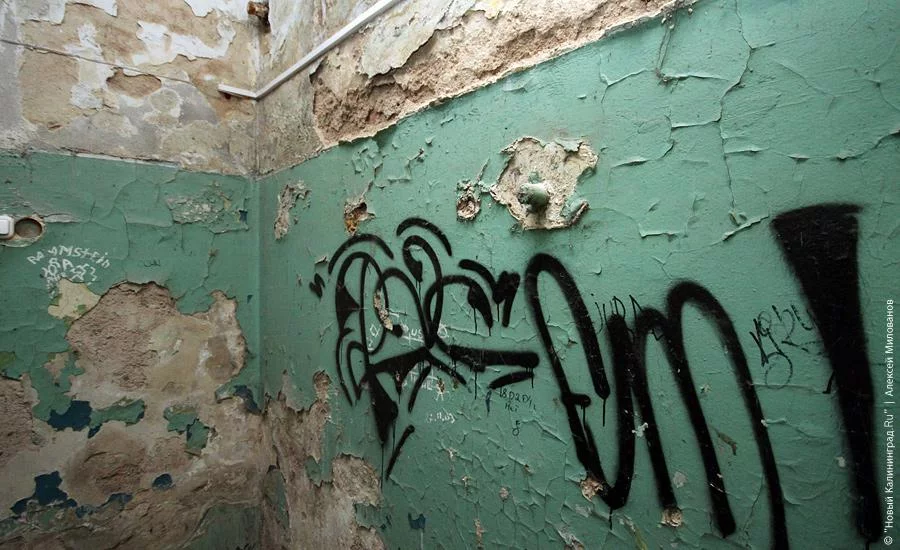 infect-28.webp